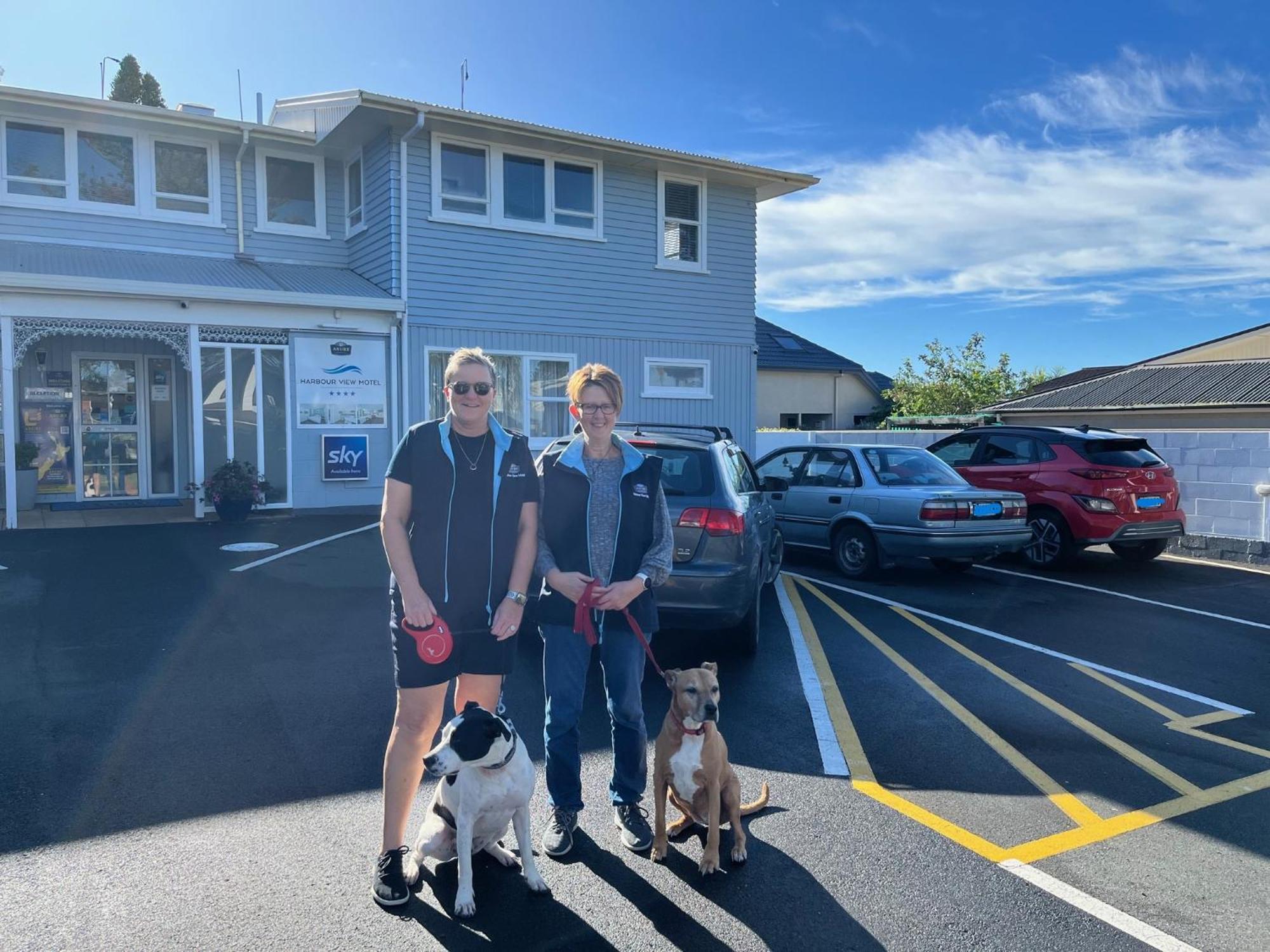 Harbour View Motel And Waterfront Apartments Tauranga Zewnętrze zdjęcie
